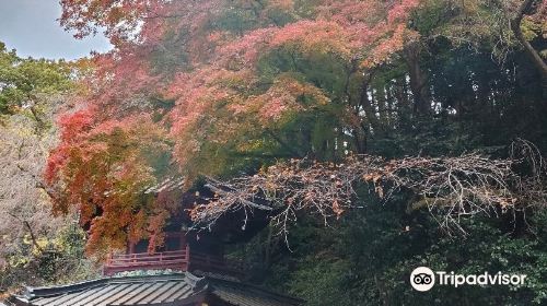 水澤寺 (水澤観音)