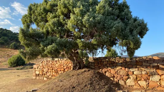 Il Santuario di S'arcu es Forros