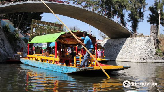 Coyoacán Mexico City + Muzium Frida Kahlo + Xochicalco lawatan sehari