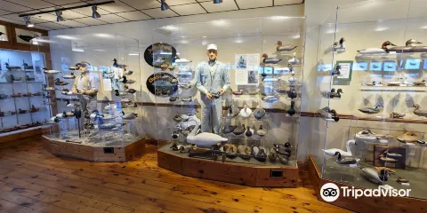 Havre de Grace Decoy Museum