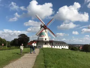 Dybboel Moelle