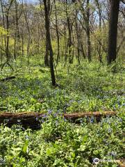 Carley State Park