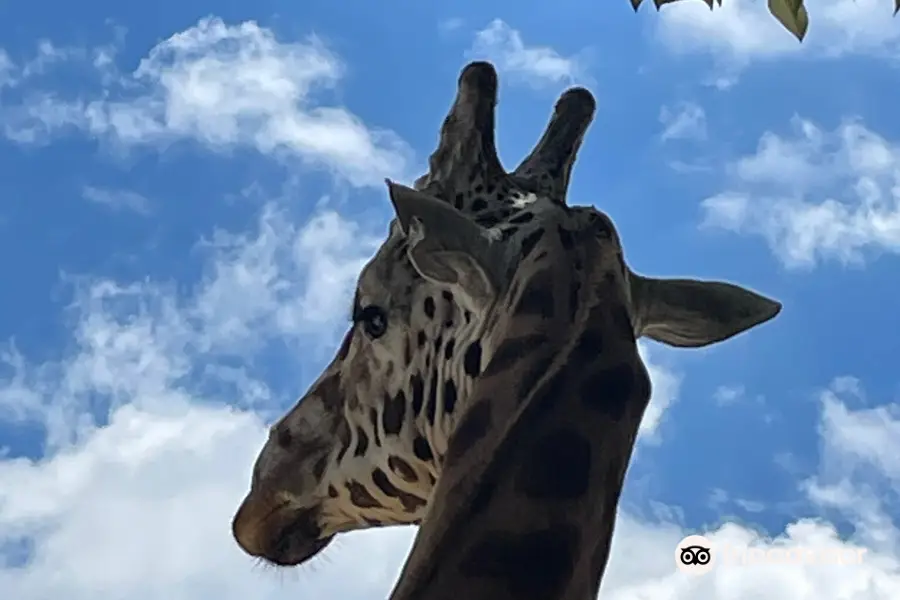 漢密爾頓動物園