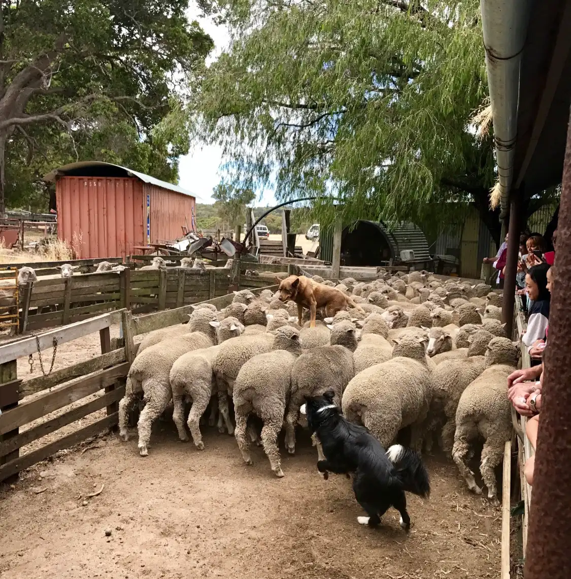 Hotels near Yallingup Shearing Shed