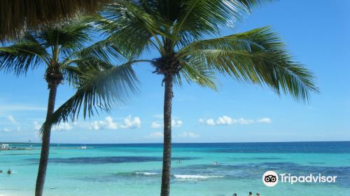 Public Beach Playa Dominicus