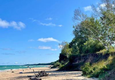 Magoon Creek Park