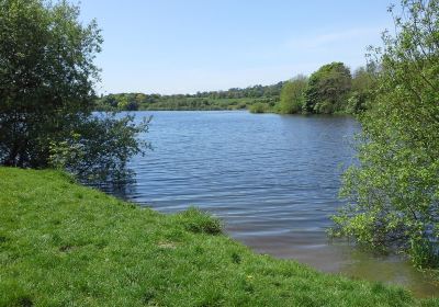 Tittesworth Water