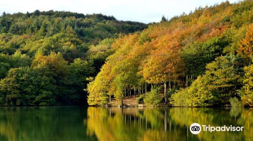 Linacre Reservoirs