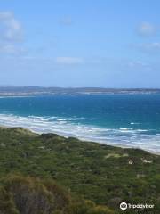 parc national Narawntapu