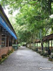 Jong's Crocodile Farm