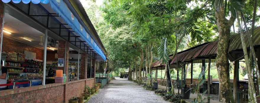 Jong's Crocodile Farm