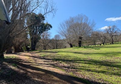 Golden Valley Tree Park