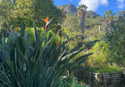 Jardin botanique de Sóller