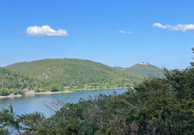 TreeTopWalk - der Baumkronenweg am Edersee