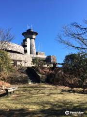 Chattahoochee-Oconee National Forests