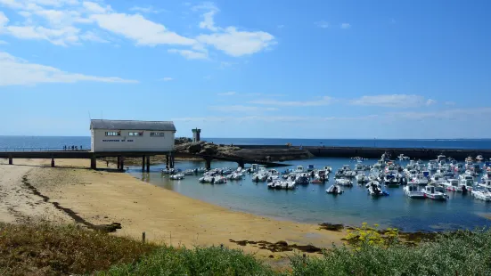 Port of Trévignon