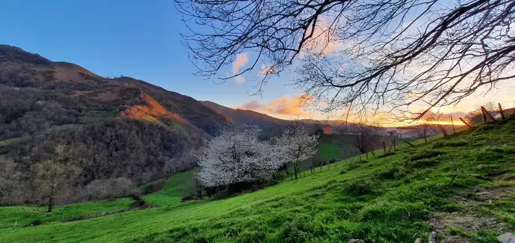 فنادق في Bimenes