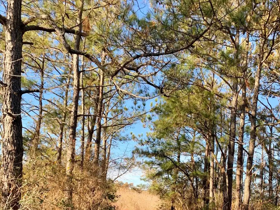 4_False Cape State Park