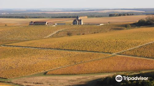 Domaine Jean-Marc Brocard