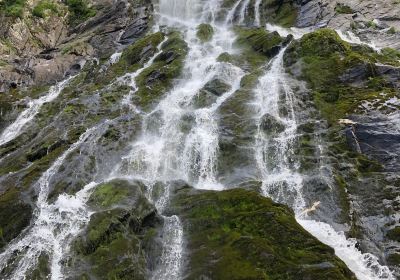 Cartisoara