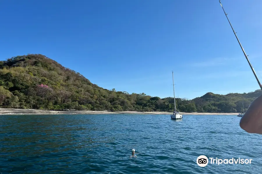 Blue Dolphin Sailing