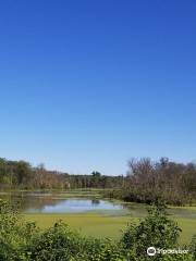 Thomson Causeway Recreation Area