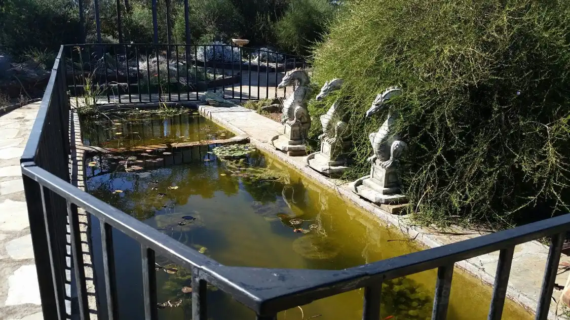 Hotel in zona Dragons Rest Habitat Garden