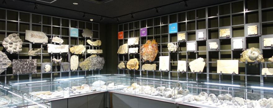 Fossa Magna Museum