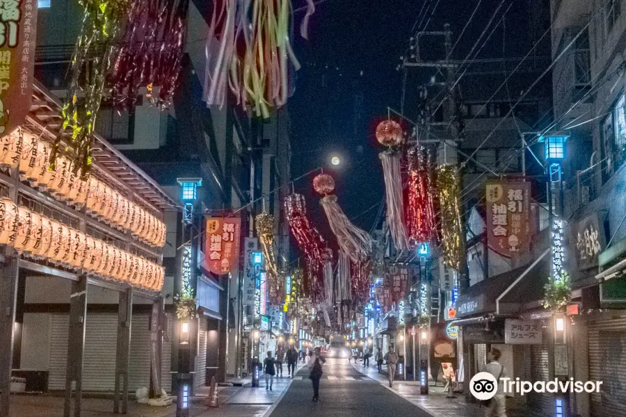 Sugamo Jizo-dori Shopping Street