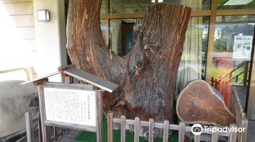 Yajima Local Museum