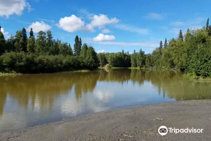 Black Bear ATV Adventure