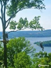 Screaming Eagle at Lake Guntersville