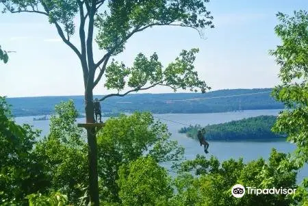 Screaming Eagle at Lake Guntersville