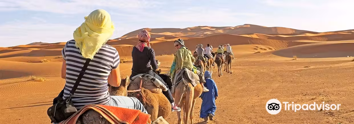 索非亞飛扎古拉