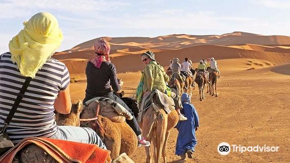 Sahara Relax