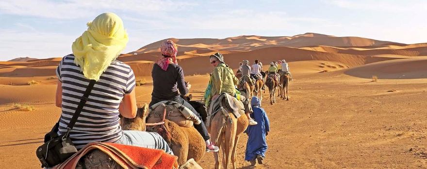 Sahara Relax