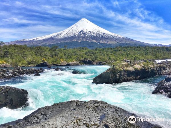 Flüge von Rio de Janeiro nach Puerto Montt