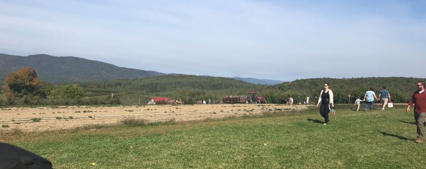 Wellwood Orchards Inc.