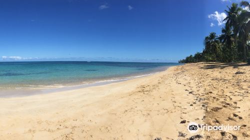 Playa Punta Popy