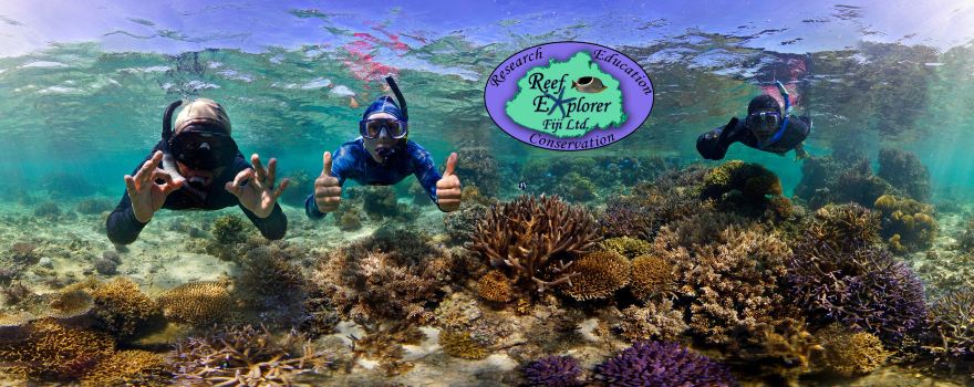 Reef Explorer Fiji