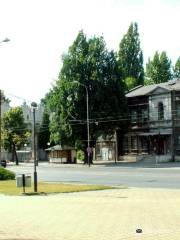 Museum of Pabianice