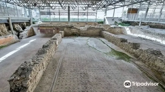 Domus e Mosaico del Leone