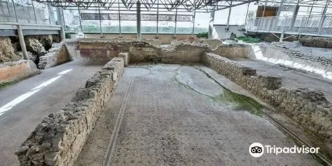 Domus e Mosaico del Leone