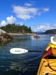 Sunshine Coast Kayaks