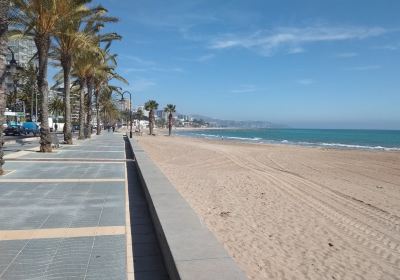 Playa Els Terrers