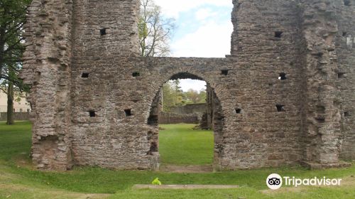 Armagh Friary (State Care Monument)