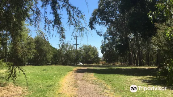 Alto Reserve