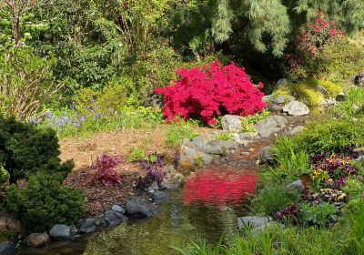 Highline SeaTac Botanical Gardens