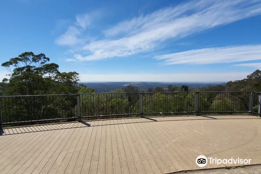 Bellbird Lookout