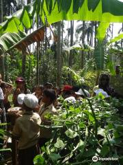 Atreya Vedic and Spice Plantation